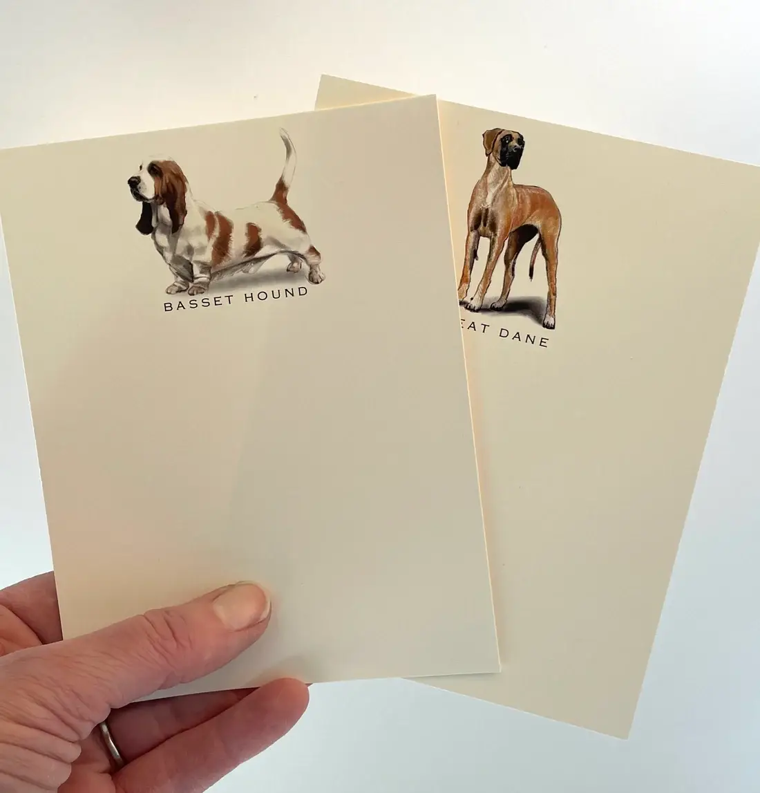 Fable & Sage - Wholesale Stationery/Notecard Set - Dog Note Cards | Irish Water Spaniel | Set of 61