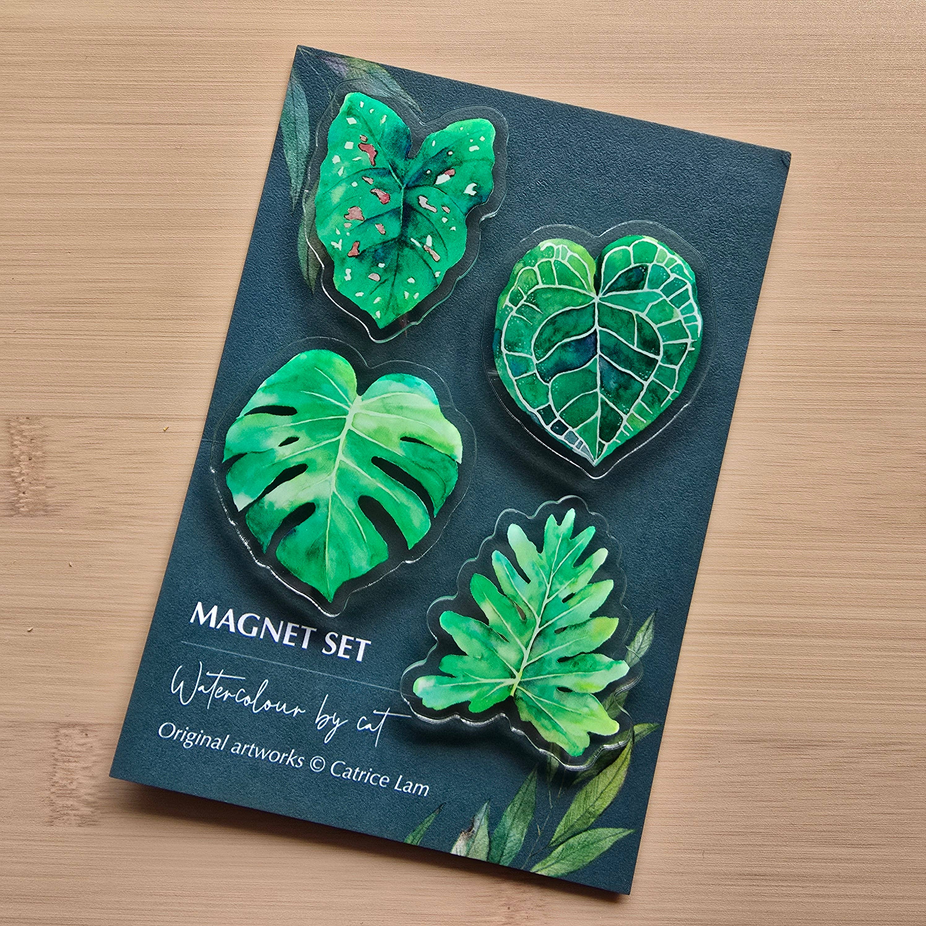 Watercolour By Cat - Wholesale Magnet - Indoor Plant Acrylic Magnet Set – 4 Pack  2