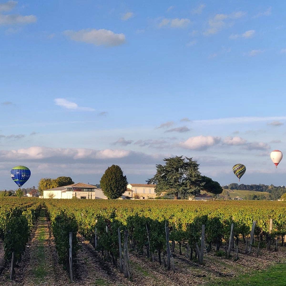 Château Palais Cardinal - Wholesale Salt - Wine salt from Château Palais Cardinal2