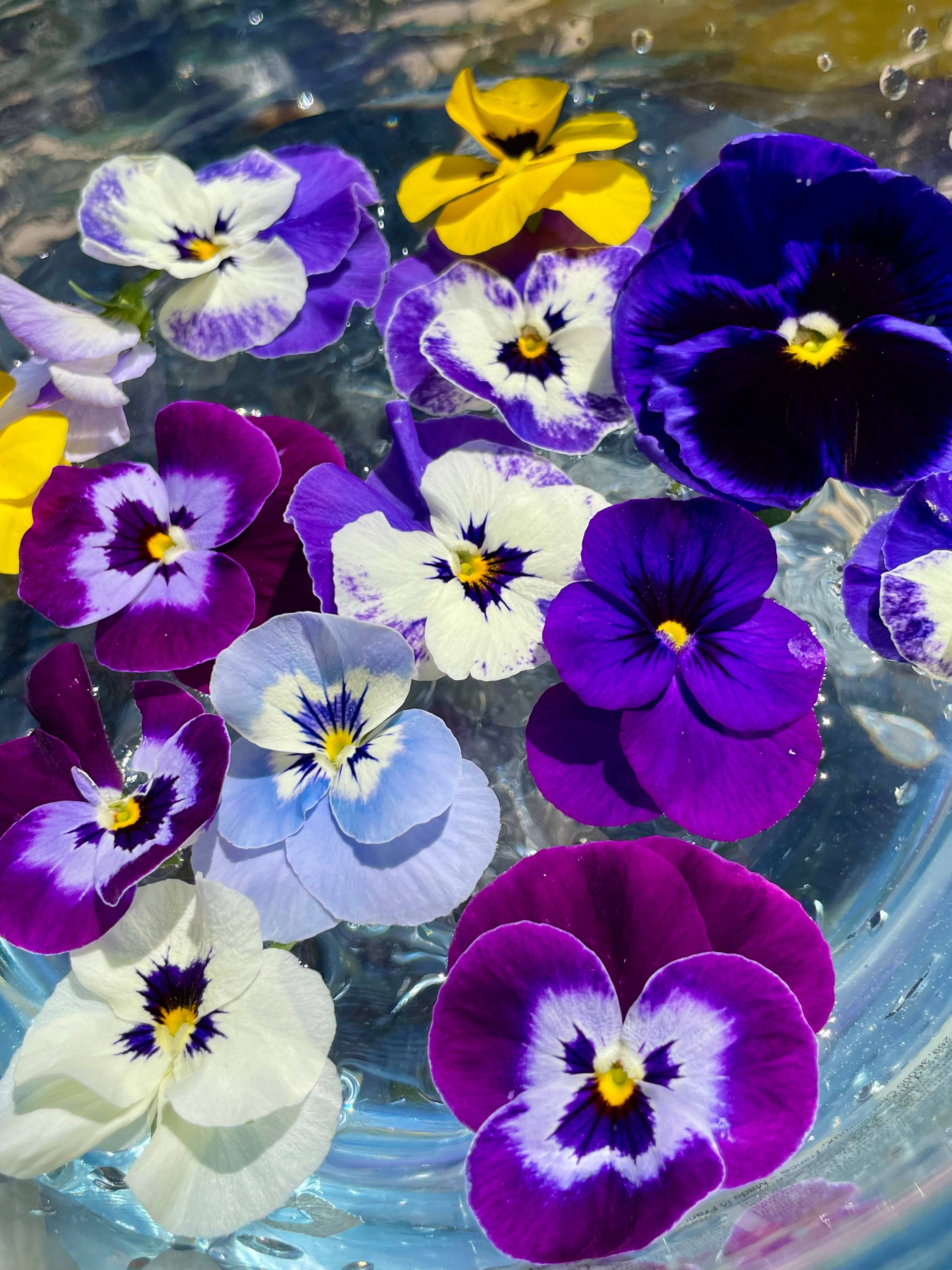 Veil of Gaia - Wholesale Flower Essence - Custom Flower Essence