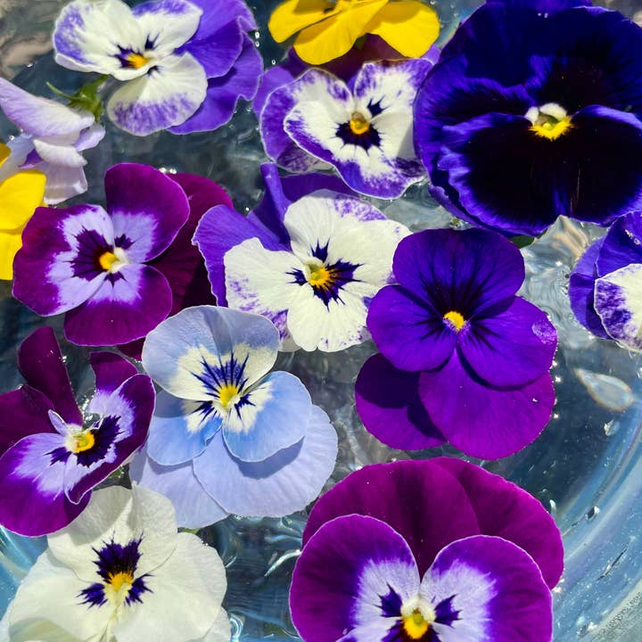 Veil of Gaia - Wholesale Flower Essence - Custom Flower Essence0