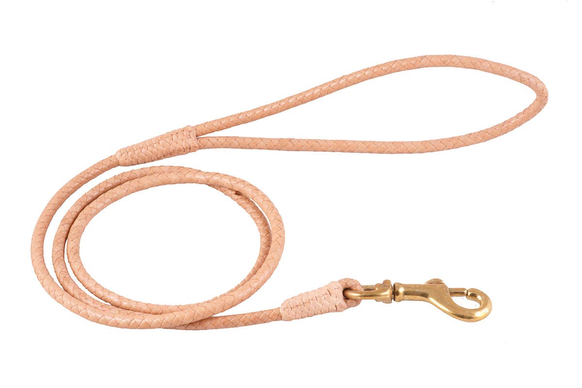 Alvalley - Wholesale Pet Leash - Dog - Braided Leather Snap Leads32