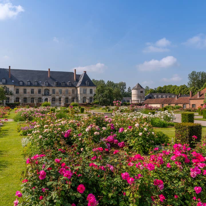 TRADITIONS DE FRANCE (International) - Wholesale Hard Candy - Handmade natural Rose hard candy from France2