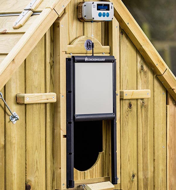 My Favorite Chicken - Wholesale Bird Swing/Toy - ChickenGuard Automatic Coop Door Opener & Self-Locking Door1