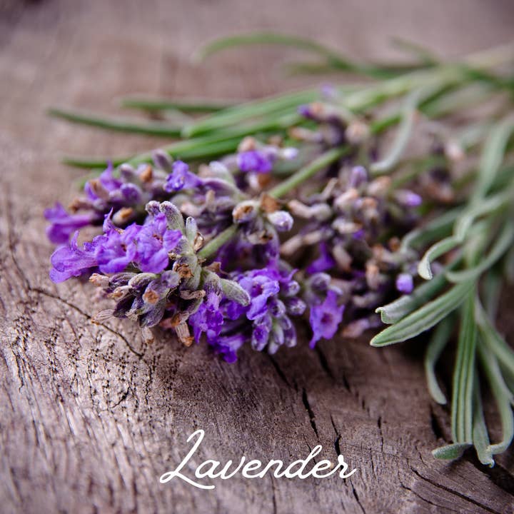 Verthandi Botanical - Wholesale Bath soak/milk - CALM BOTANICAL BATH SOAK7