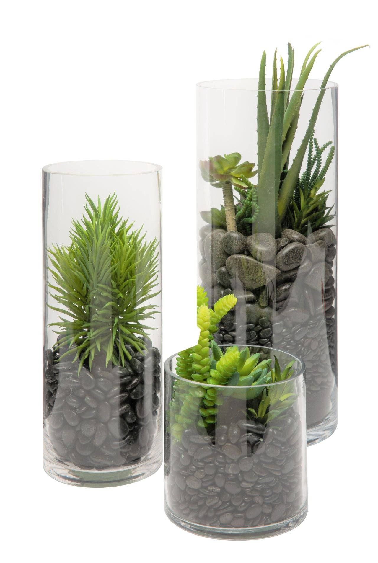 Replica Plants and Decor - Vente Vases - Collection de cylindres en verre transparent Mazzy de 6 po de large GL10015