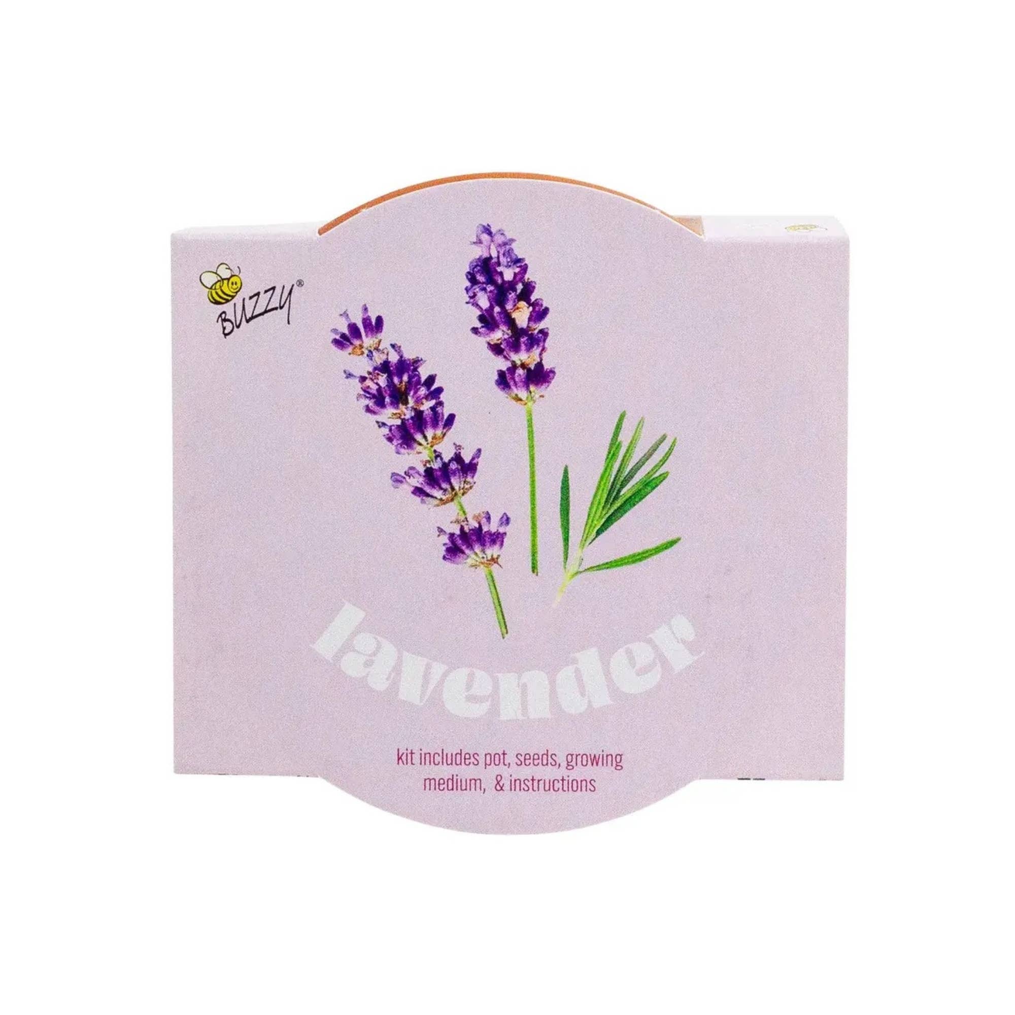 Buzzy Seeds Grow Gifts - Wholesale Plant Seeds - Classic 7cm Terracotta Lavender Grow Kit – Indoor Herb Gift