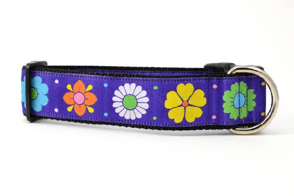 six point pet - Vente Collier – chien - Daisy Chain-Violet9