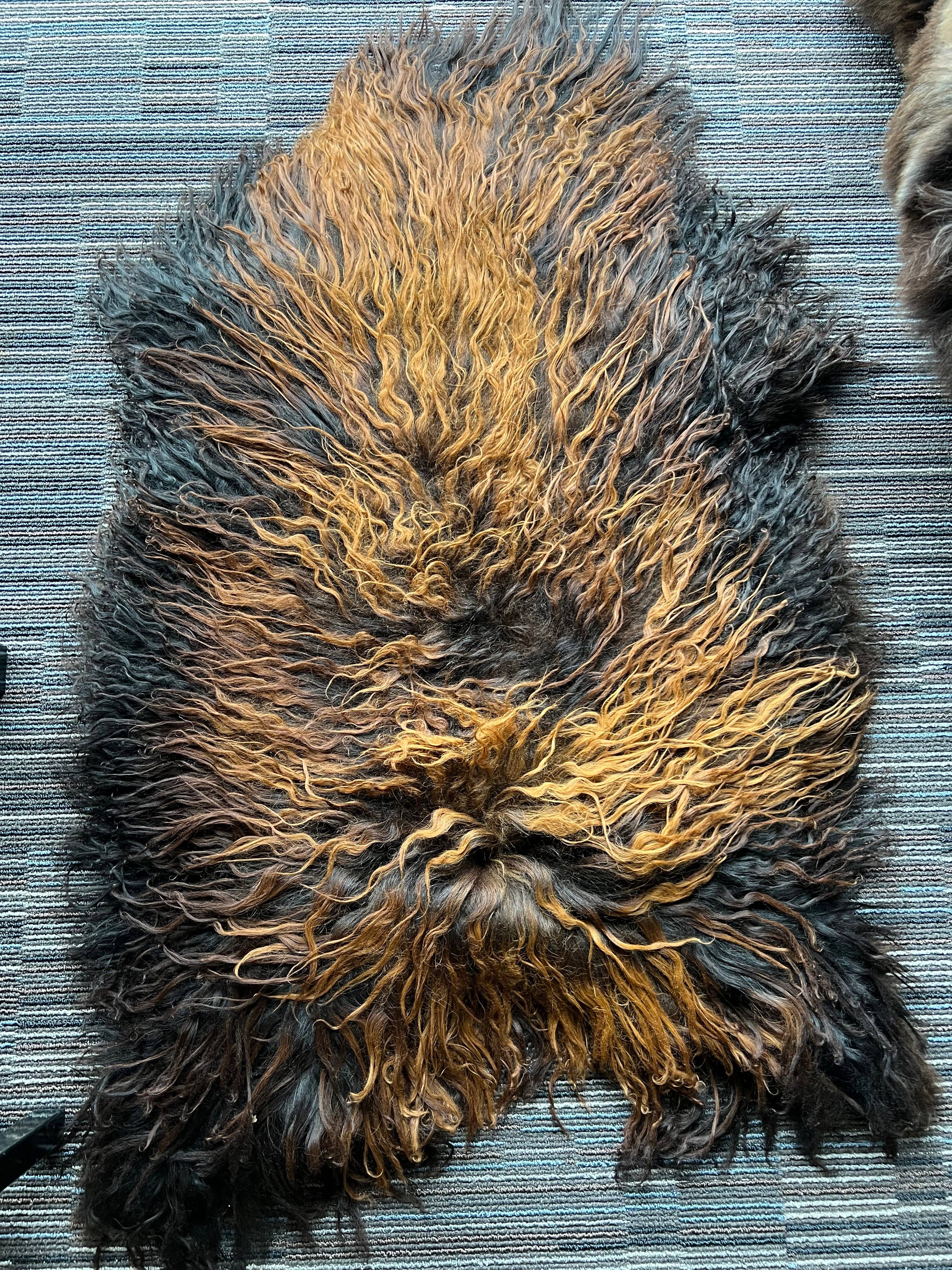 WeeSkins Holland – Engroshandel Løst tæppe – Islandsk lammeskind, stilfuldt og krøllet9