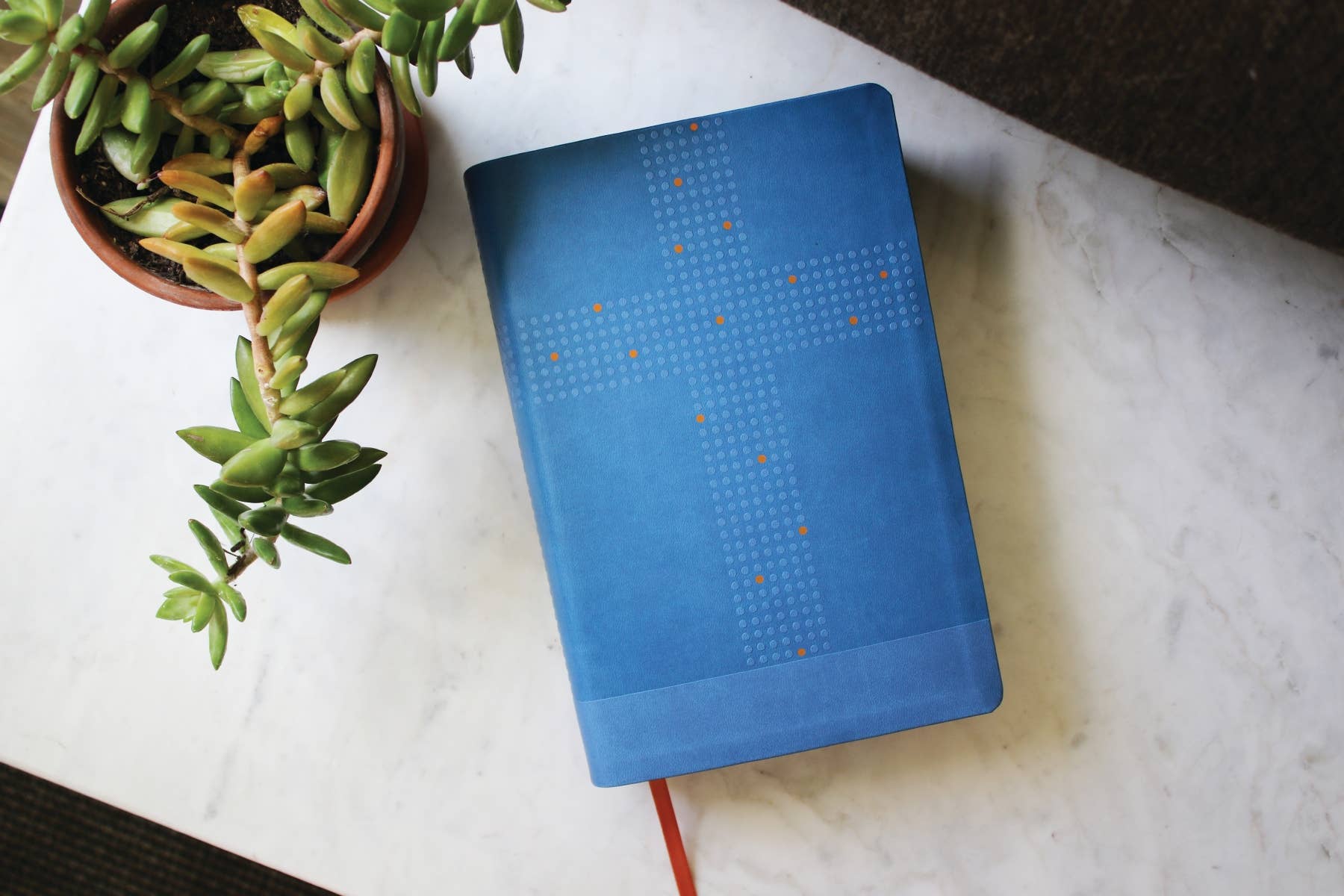 HarperCollins Christian Publishing - Wholesale Preschool Book (3-5) - NIrV, Clear Focus Bible For Kids, Leathersoft, Blue1