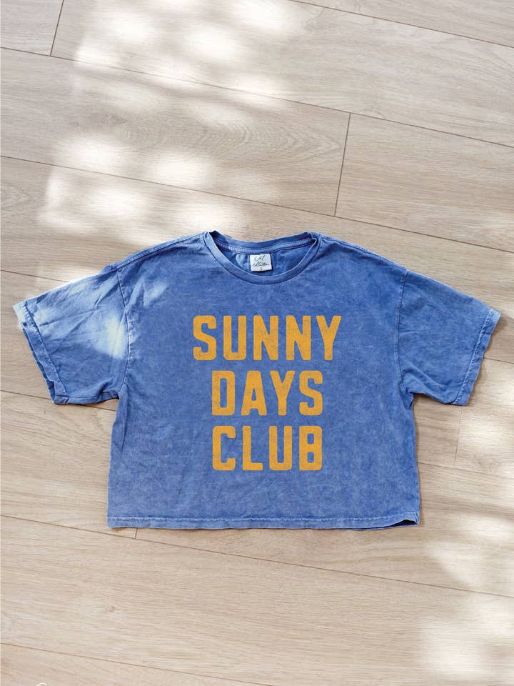 SUNNY DAYS CLUB Cropped Mineral Graphic top voor wholesale door OAT COLLECTIVE