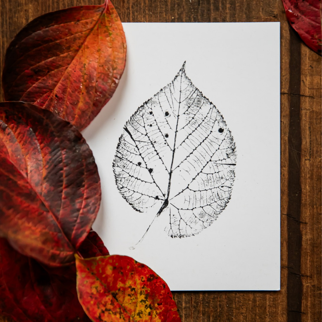 Reclaimed Gardens - Wholesale Stationery/Notecard Set - Botanical Monoprint Card Collection7