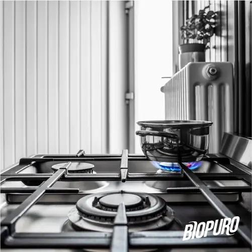 NIVEL SRL SOCIETÀ BENEFIT - Vente Nettoyant multi-surface - BIOLÙ Biopuro - Dégraissant bio universel 500 mL2