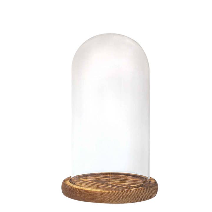 Glass Dome with Wood Base - 8.5 Inches Tall for wholesale by Portofino International Trading, USA
