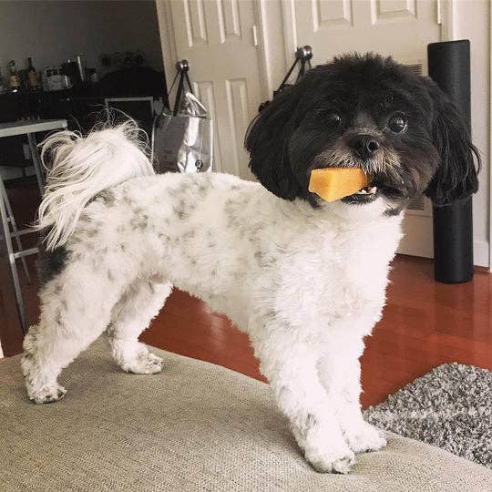 Pet Palette Distribution - Wholesale Pet Treats - Dog - Yeti Small Chew Bulk 3lb Box3