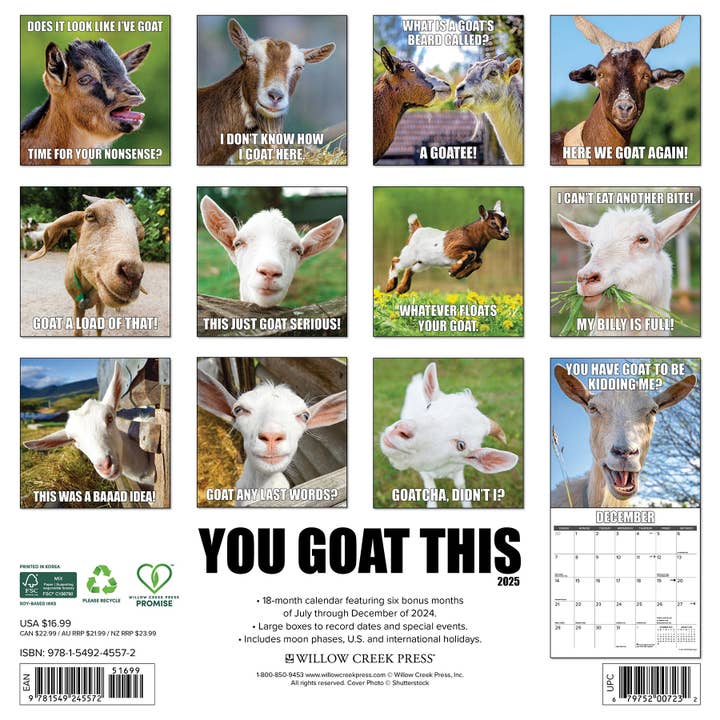 Willow Creek Press & Gifts - Wholesale Calendar - You Goat This 2025 Wall Calendar