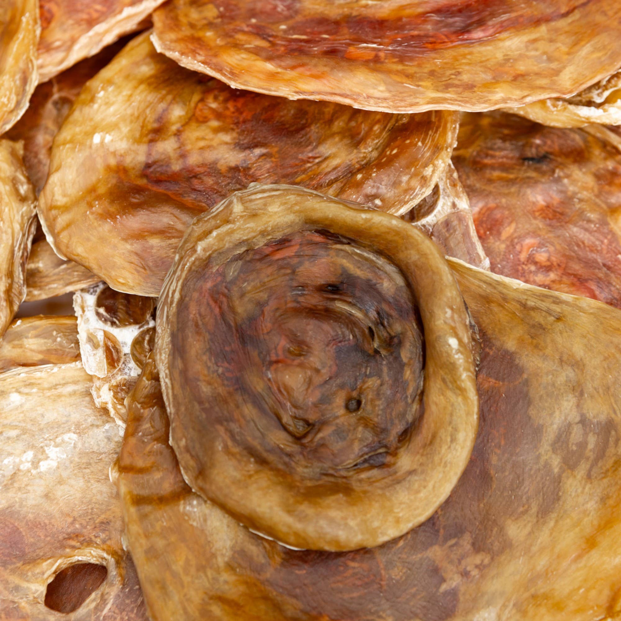 Jojo Modern Pets – wholesale Godis - Hund – Helt naturliga 3”-4” nötkreatursblåsediskar för hund (25/påse)2