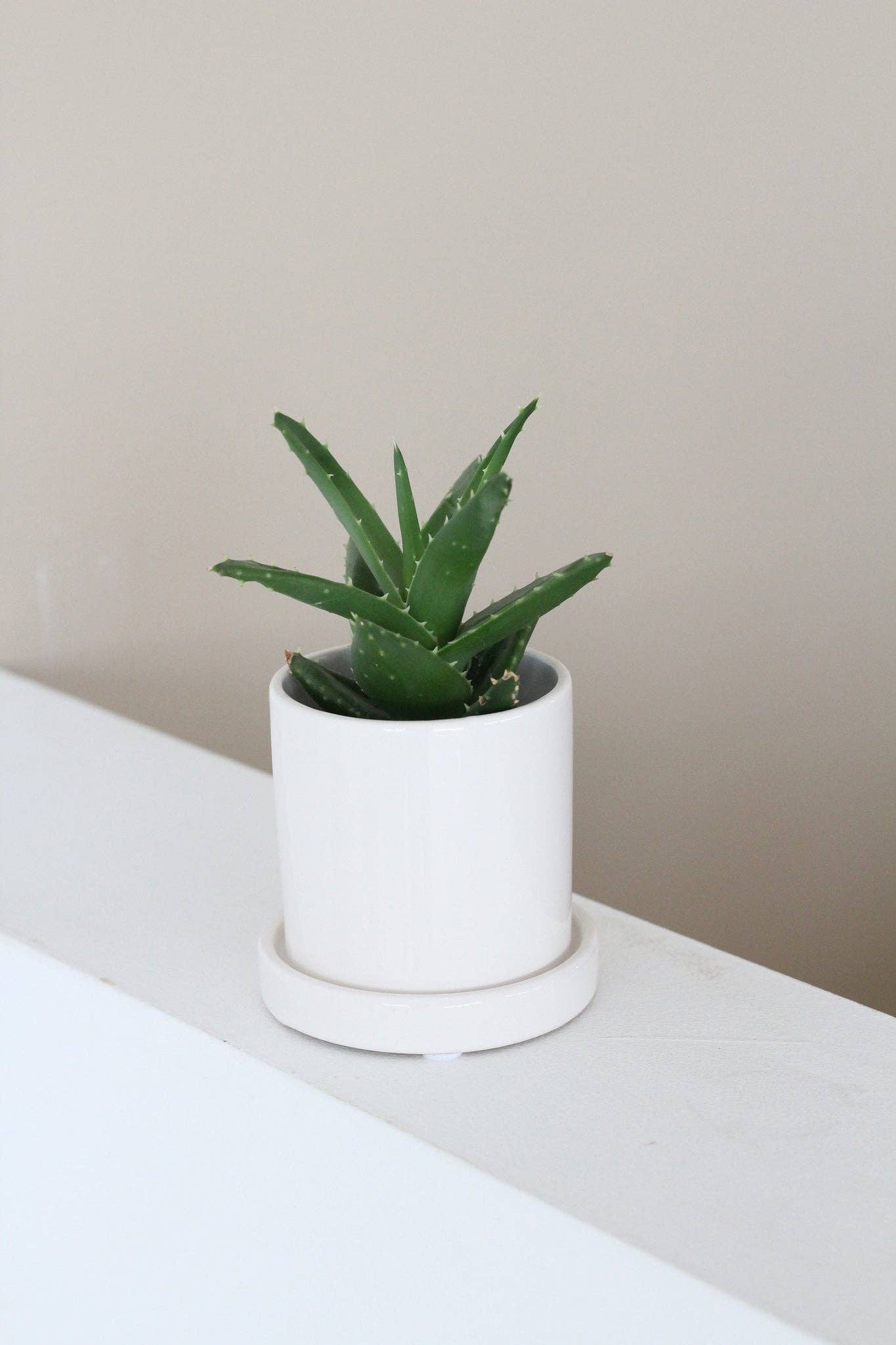 Sprout & About - Wholesale Plant Pot - Small Planter with Saucer in Minimalist Glossy White1