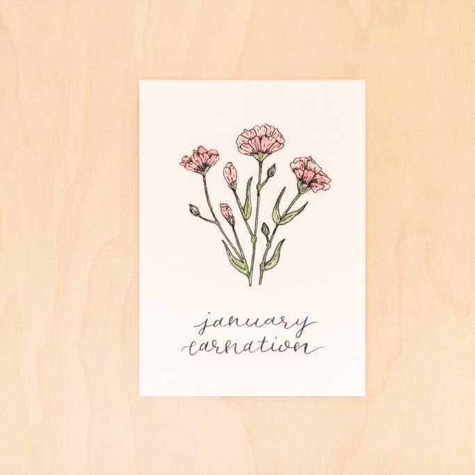 Birth Month Flower Print: January, the Carnation for wholesale by Kallos Ink