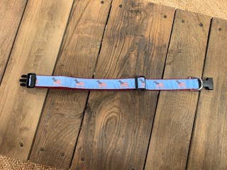 Preston Ribbons - Wholesale Pet Collar - Dog - American Dog #5451
