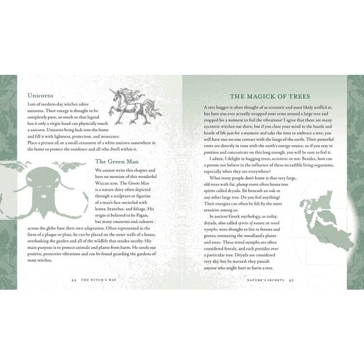 Hachette Book Group - Wholesale Body, Mind & Spirit Book - Witch's Way by Shawn Robbins9