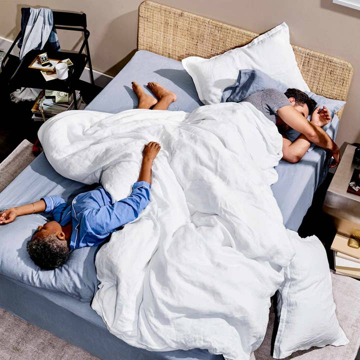 Snowe Home - Wholesale Down Comforter - Down Comforter11