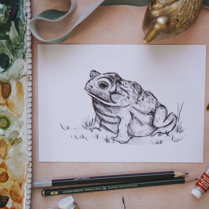 MacaelaMade - Vendita all'ingrosso Stampa artistica - Schizzo di rospo, disegno di rospo, stampa artistica primaverile