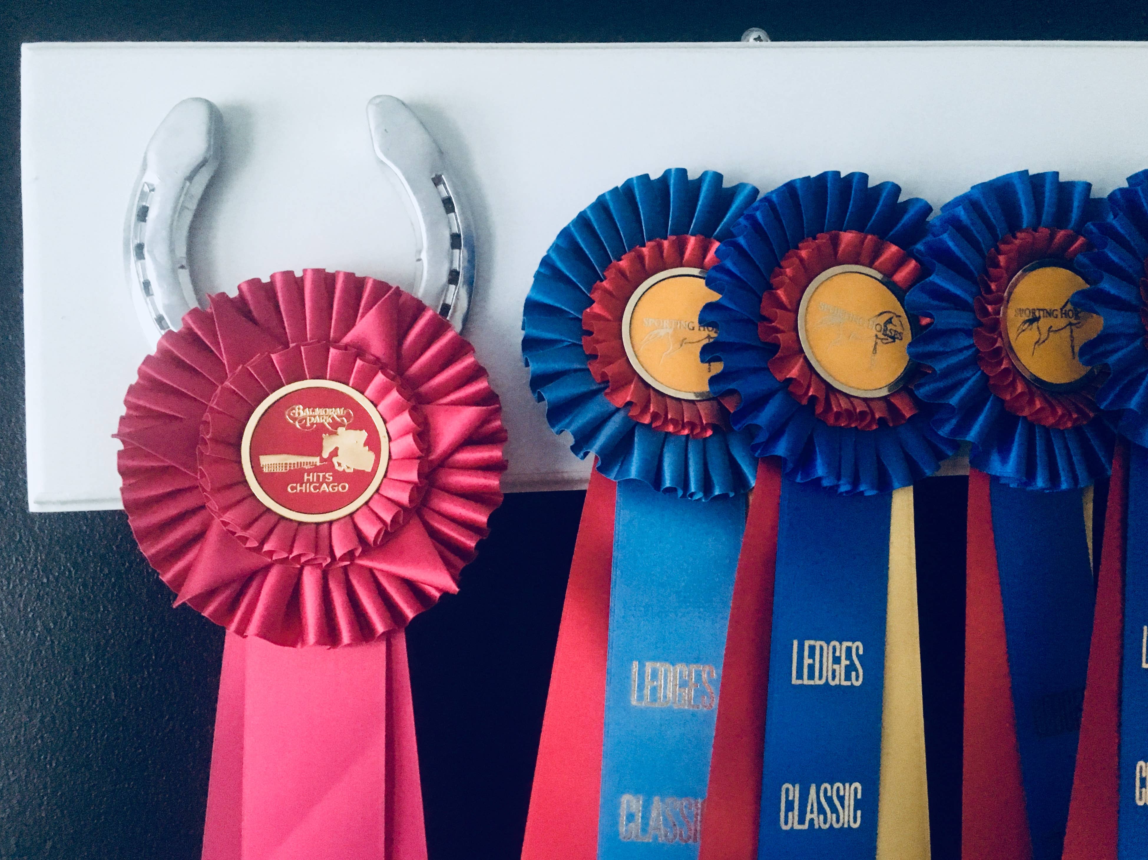 The Infused Equestrian – Prateleira de exposição por atacado – O rack de fita infundido5