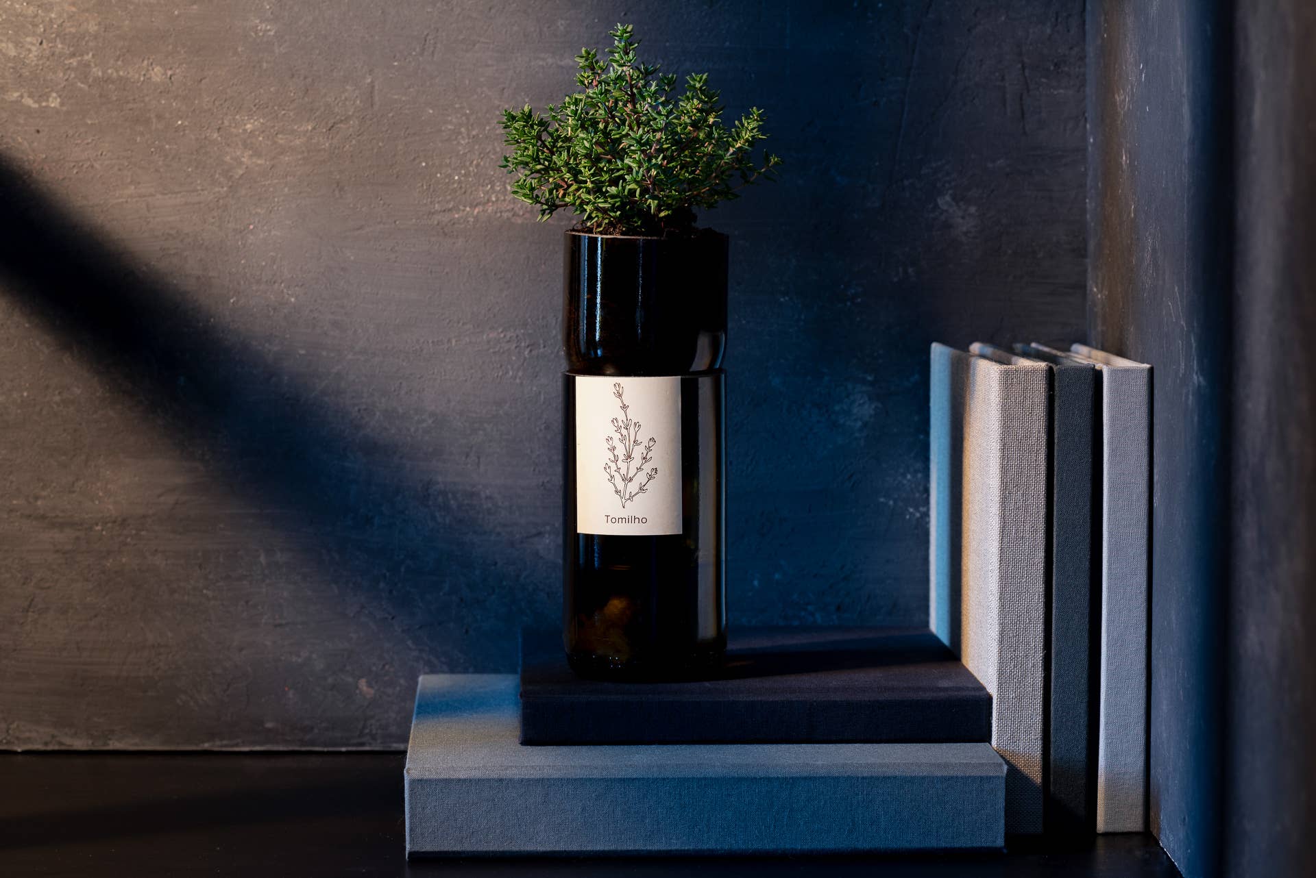 Life in a bag - Wholesale Plant Seeds - Grow Bottle Basil6