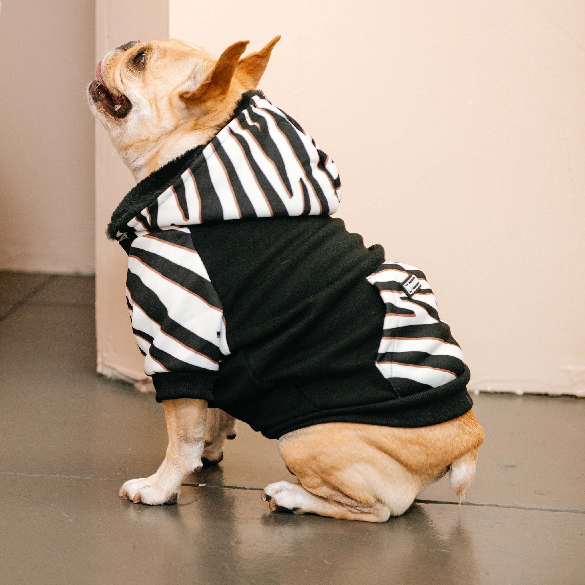 Frenchie - Venta al por mayor Sudadera - Perros - Sudadera con capucha Frenchie Dog - Zebra7