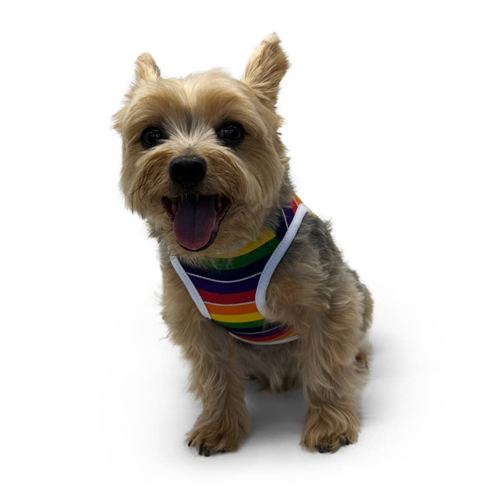 Dogo Pet - Wholesale Pet Shirt - Dog - Rainbow Tank3