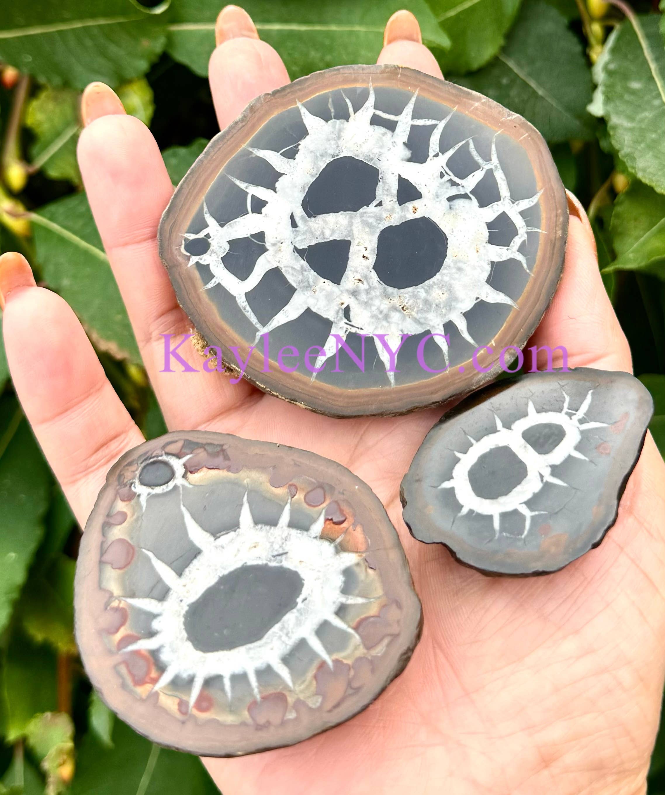 KayleeNYC - Wholesale Spiritual Stone/Crystal - 2 lbs Natural Septarian Nodule Slab Crystals Healing4