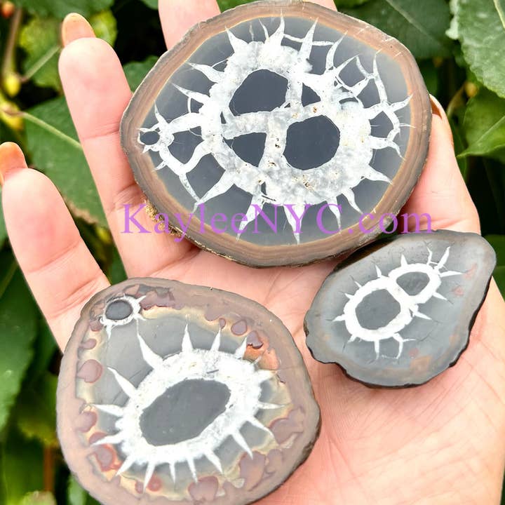 KayleeNYC - Wholesale Spiritual Stone/Crystal - 2 lbs Natural Septarian Nodule Slab Crystals Healing4