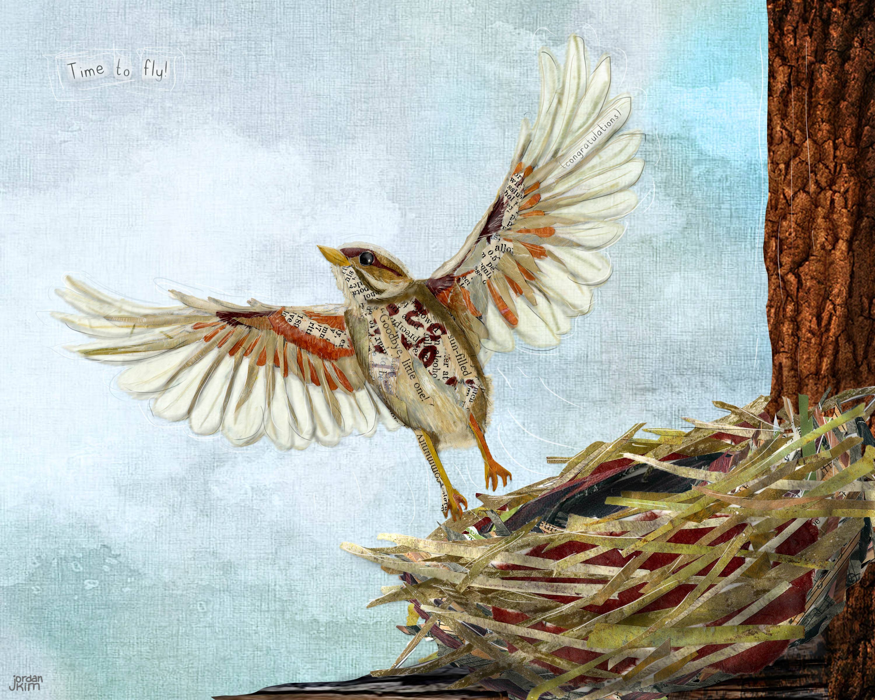 Found & Rewound - Wholesale Art Print - Graduate Fledgeling -  print1