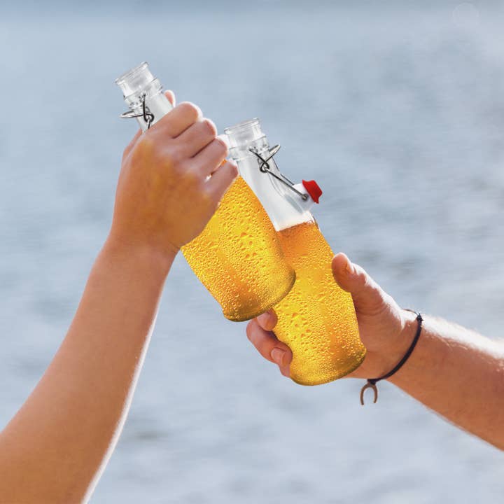 Nevlers - Wholesale Milk/juice bottle - Glass Swing Top Bottles - 8.5 oz. Teardrop Design (Set of 6)6