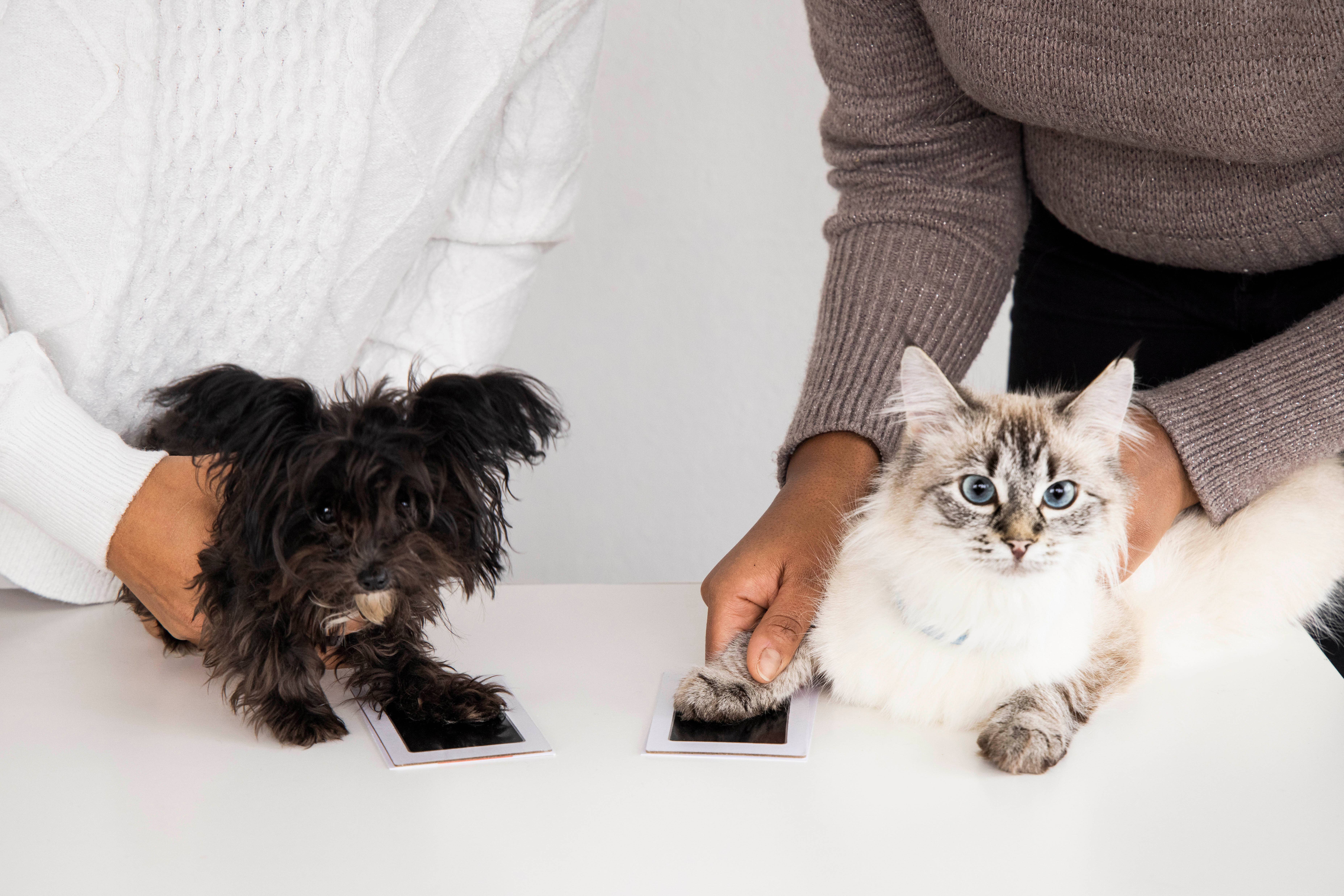 Pearhead - Vente Tampons encreurs - Tampon à encre Clean-Touch Pet Pawprint, noir13