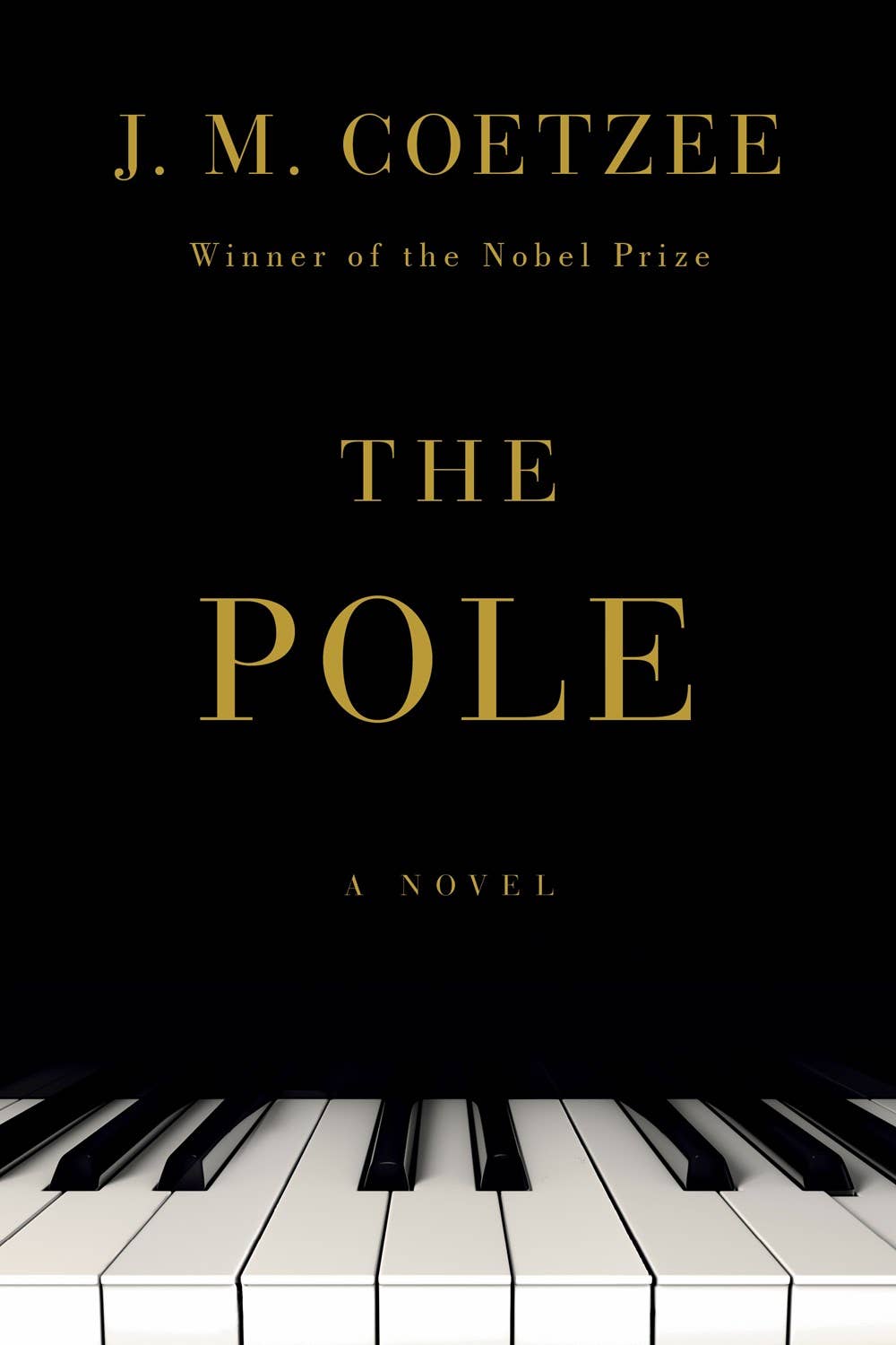 W. W. Norton - Wholesale Contemporary & Literary Fiction - The Pole: A Novel0
