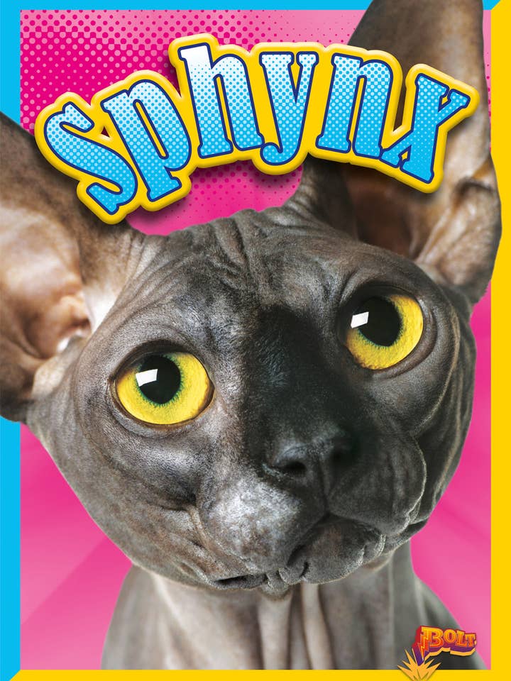 Sphynx for wholesale by Black Rabbit Books