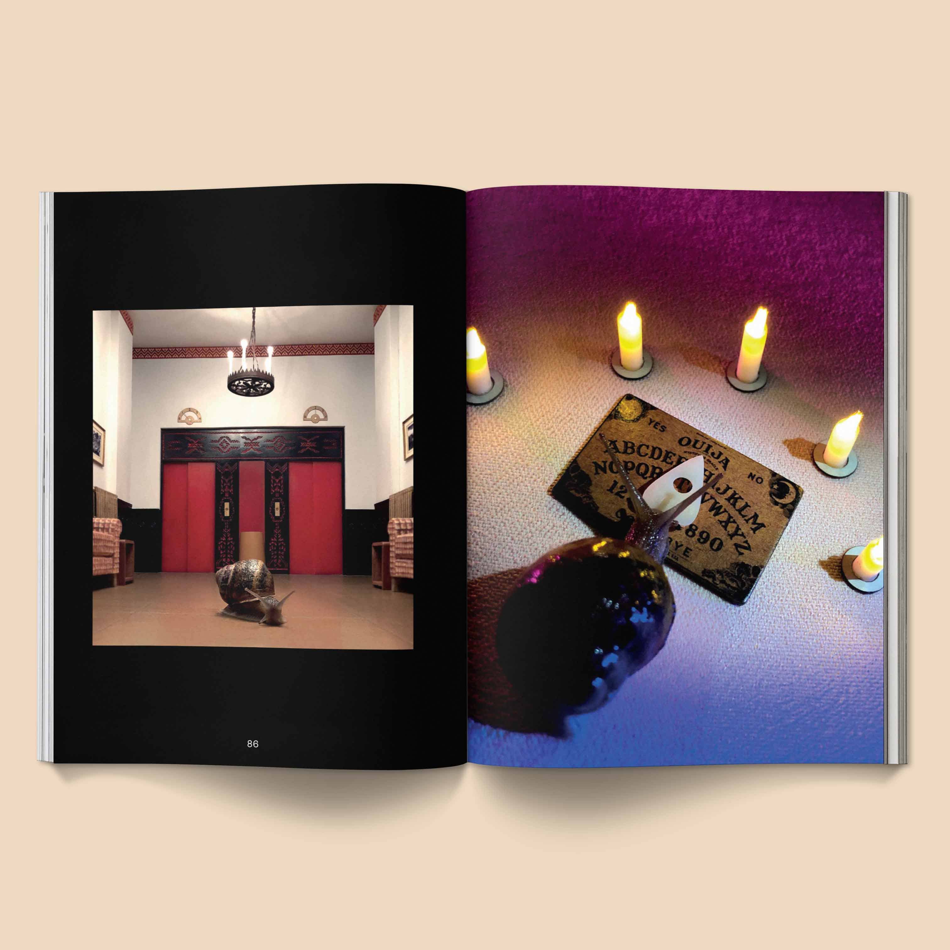 Broccoli - Wholesale Fantasy - Snail World 2: Welcome to Slimetown Coffee Table Book3