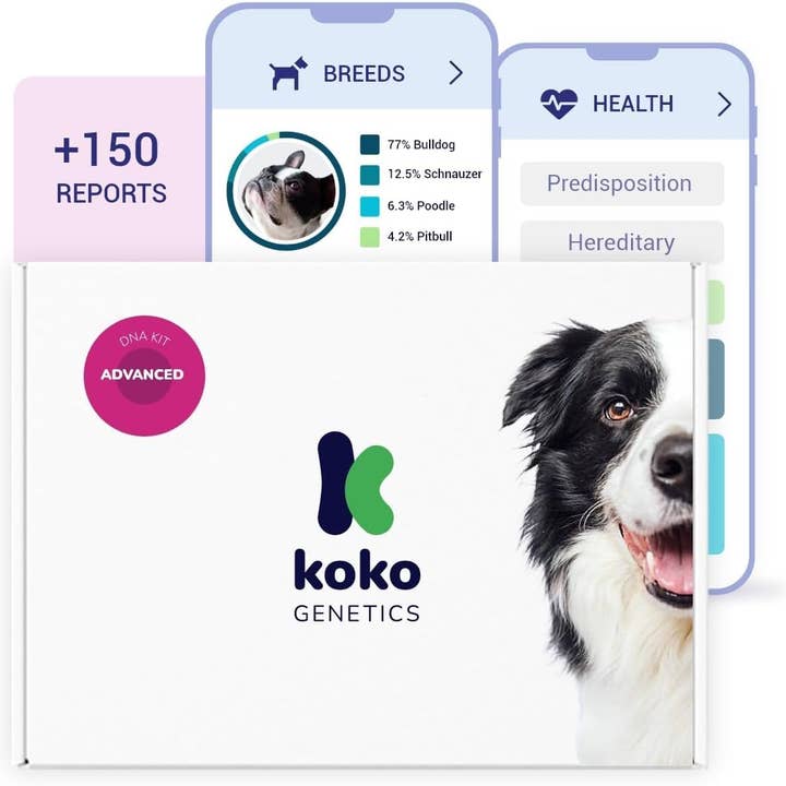 tellmeGen – comida - Cão por atacado – Teste avançado de ADN para cães
