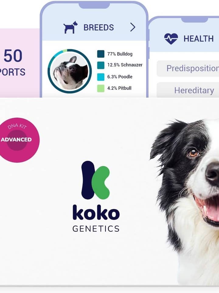 Advanced DNA test for dogs for wholesale by tellmeGen
