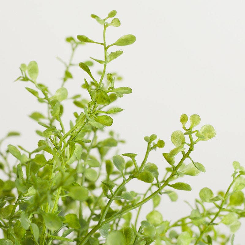 Factory Direct Craft - Vendita all'ingrosso Fiori finti - Cespuglio di Verde Pepe da 12" Resistente alle Intemperie1