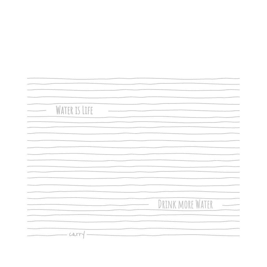 Carry Bottles - Wholesale Water Bottle - Glass water bottle - CARRY Bottle WATER IS LIFE 1.0l2