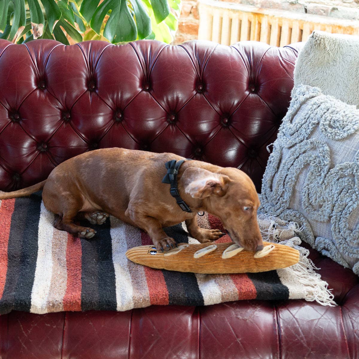 ADC Houndstone & Co. - Wholesale Pet Plush Toy - Dog - Houndstone Baguette Plush Interactive Dog Toy for Enrichment4