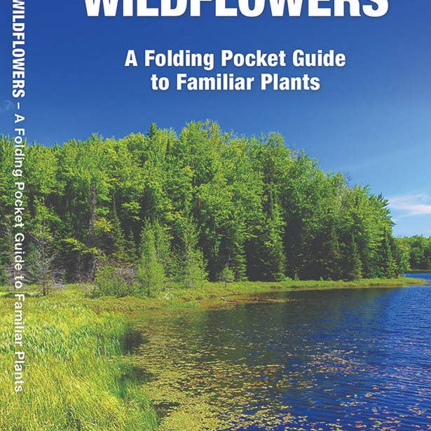 Wisconsin Trees & Wildflowers for wholesale by Birds Choice