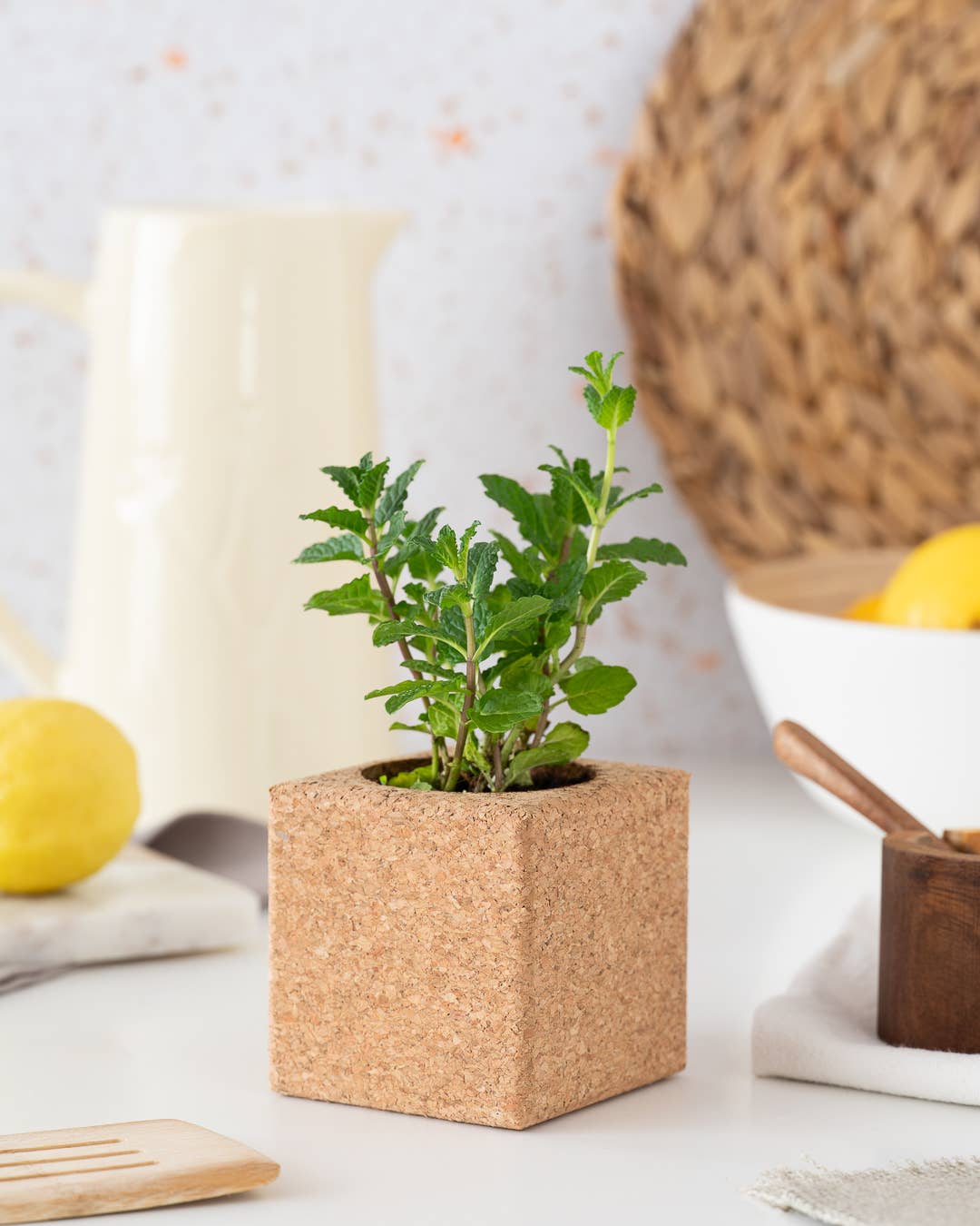 Life in a bag - Wholesale Plant Pot - Grow Cube Mint1