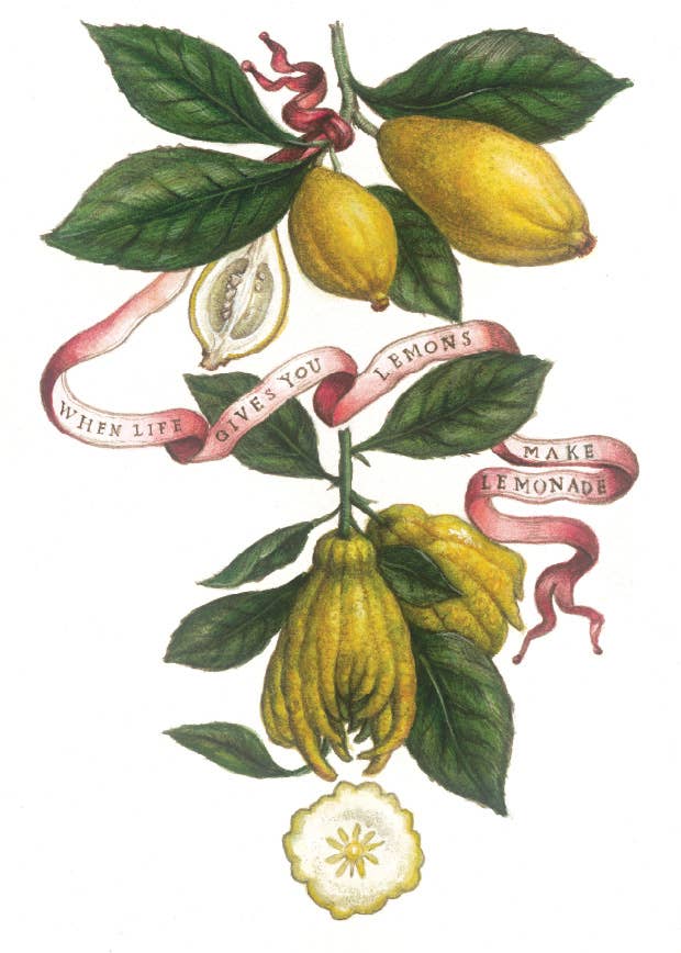 Bomo Art Budapest - Wholesale Everyday Greeting Card - Greeting Card + Envelope96