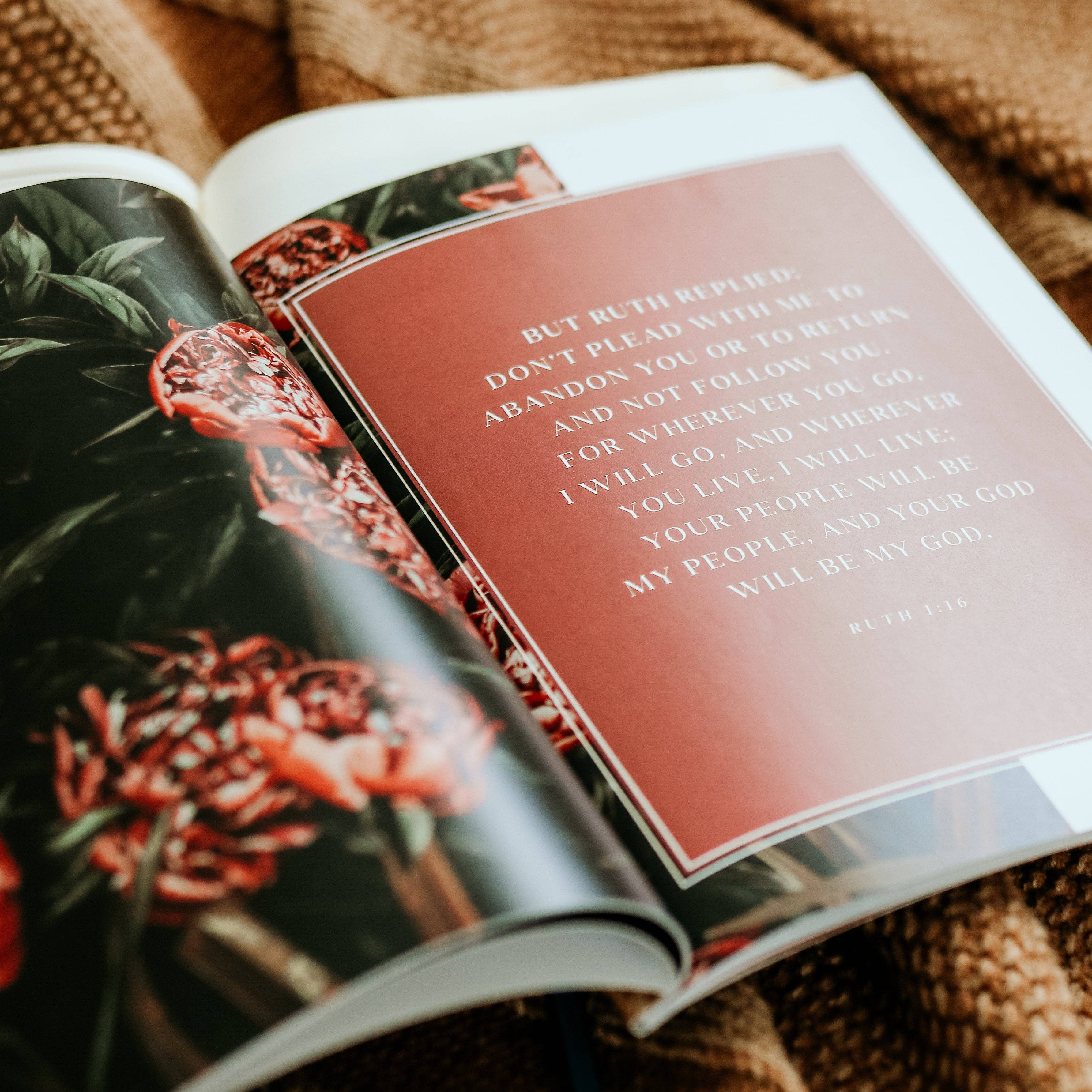 The Daily Grace Co - Wholesale Religion - Ruth Study | Fields of Grace8