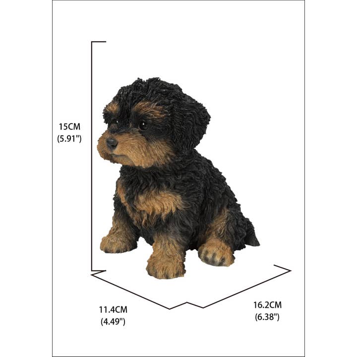 Hi-Line Gift Ltd. - Wholesale Decorative Figurine - Baby Cavapoo Black & Tan