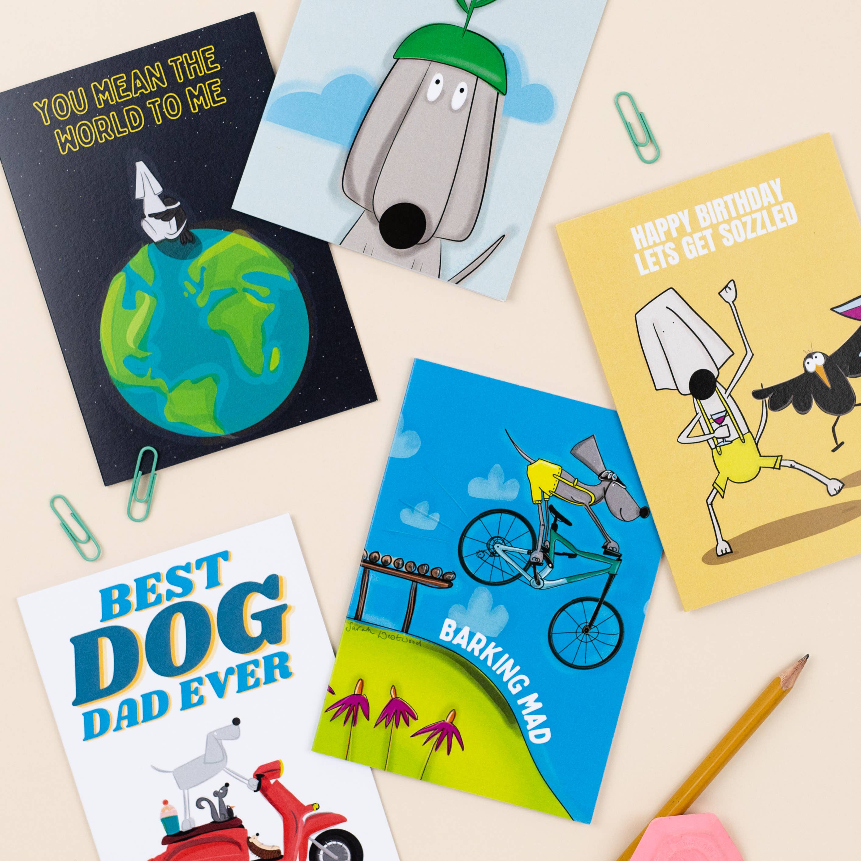 Sarah Westwood - Wholesale Birthday Card - Every Poo I Do For You Greetings Card3